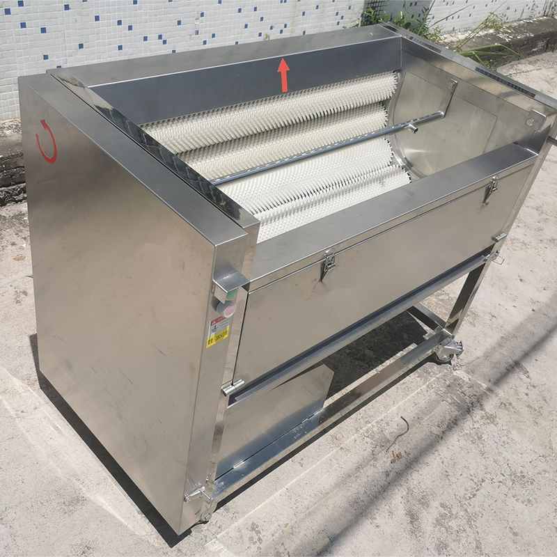 IMG_20220801_111957-1