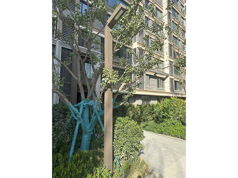 856af36996af6d952f294a533f18d2a