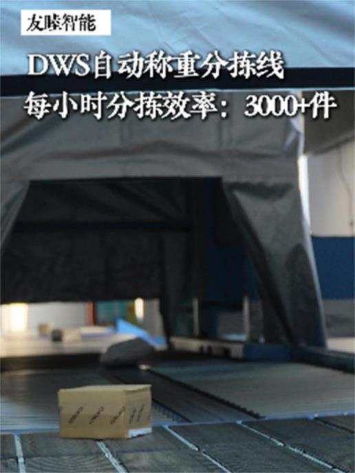 纯净版-dws