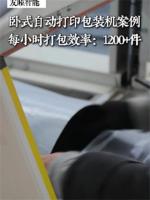 纯净版-卧式打包机