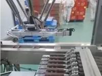 全自动红枣生产线
