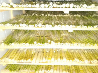 a1185d4e306f89e00cc0c965602dfe6