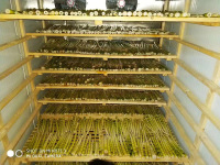 eb7955ed94769526b1b6cca7d720b3e