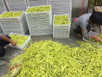 8e34a84399e8e9ff941760a8eae7276