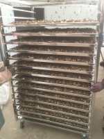 微信图片_20240417114530