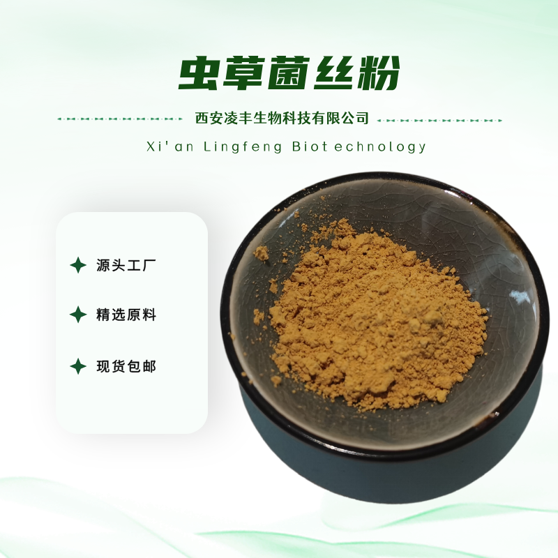 虫草菌丝粉