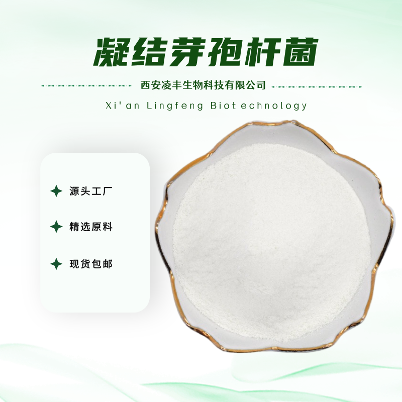 凝结芽孢杆菌