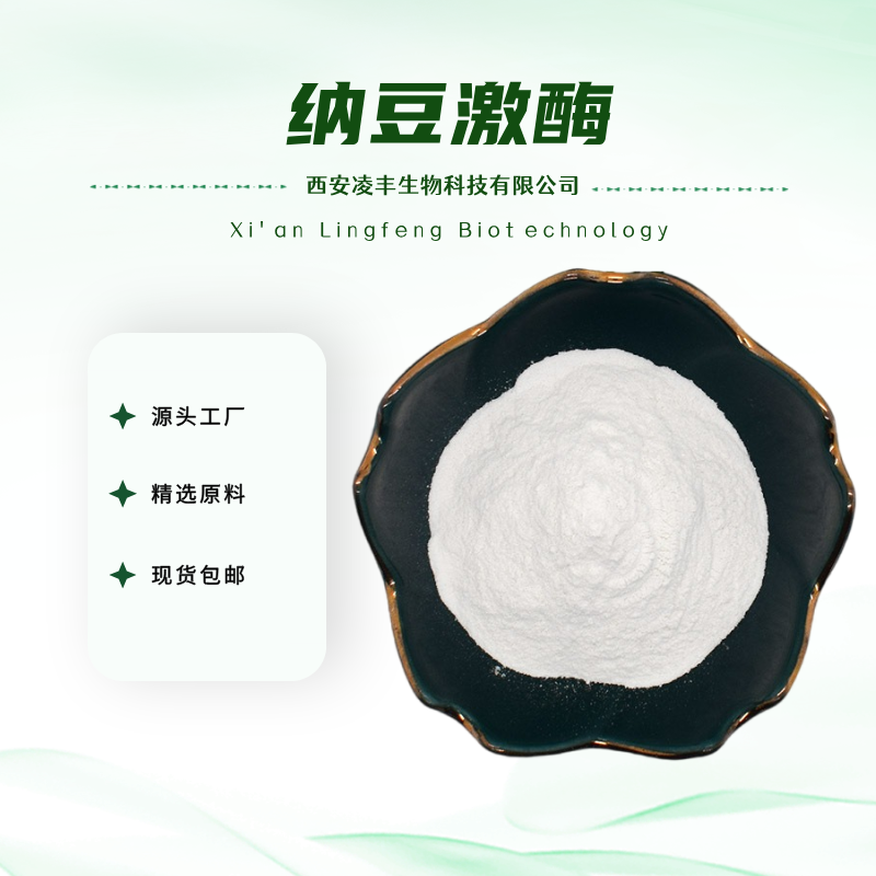 纳豆激酶