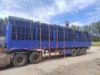 84fa81178264d71581eba66163a3a6c