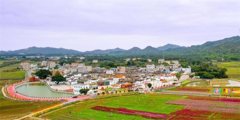 广东汕尾陆丰市金厢镇农村水表改造项目-智能水表