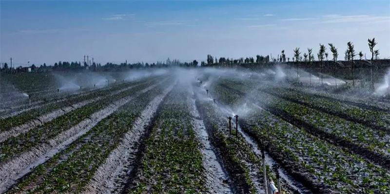 民权县伯党乡农民用水协会农业灌溉项目-智能电表
