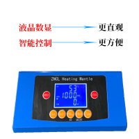 主4