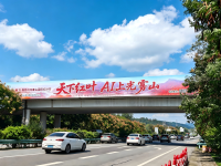 案例-4