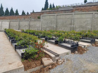 微信图片_20260420091355_38_47