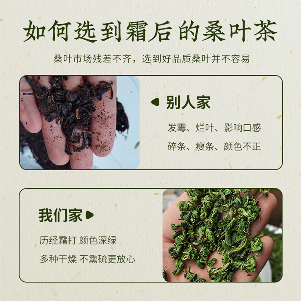 霜桑茶主图-2