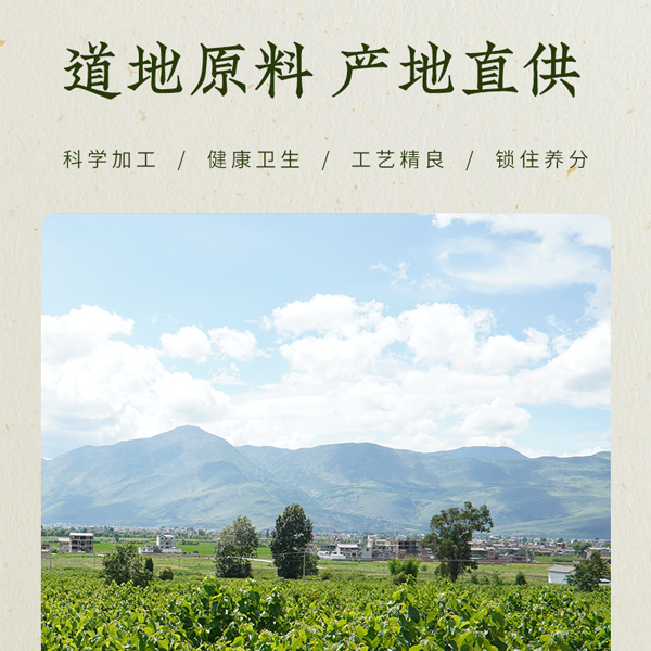 霜桑茶主图-4