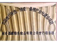 荣誉资质-6-