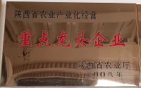 荣誉资质-10-