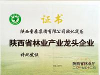 荣誉资质-13-