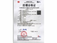 气体涡轮防爆证-精迈_00