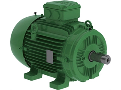 W21IE2-IE5铸铁和铸铝机座电机