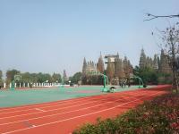 学校