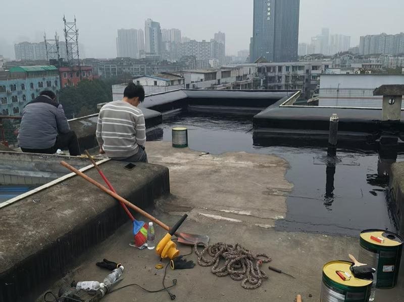 防水涂料-5-