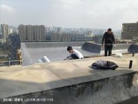 防水涂料-4-