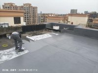 防水涂料-2-