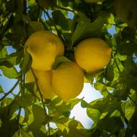 712a6d8235e14670b19f0256f14f2030