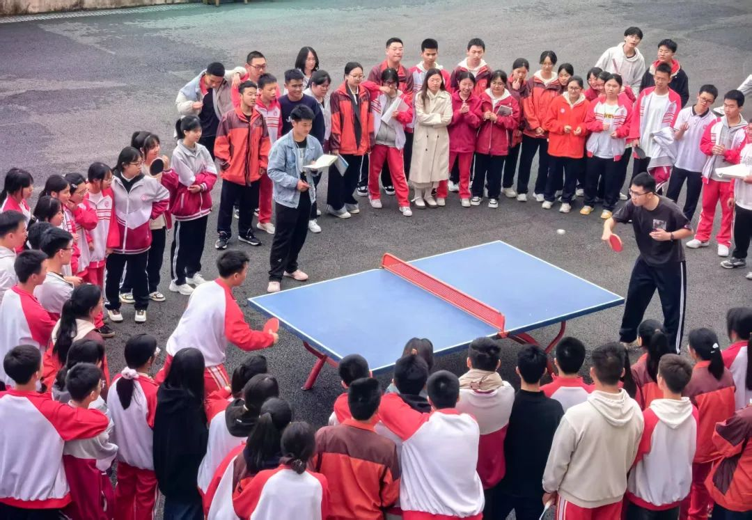 教育学校网站-图片12