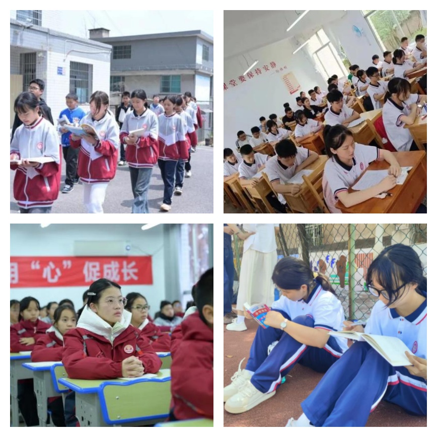 教育学校网站-图片17_副本