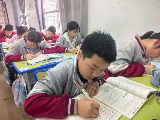 教育学校网站-图片90