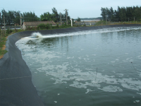 image-20240809110014-1