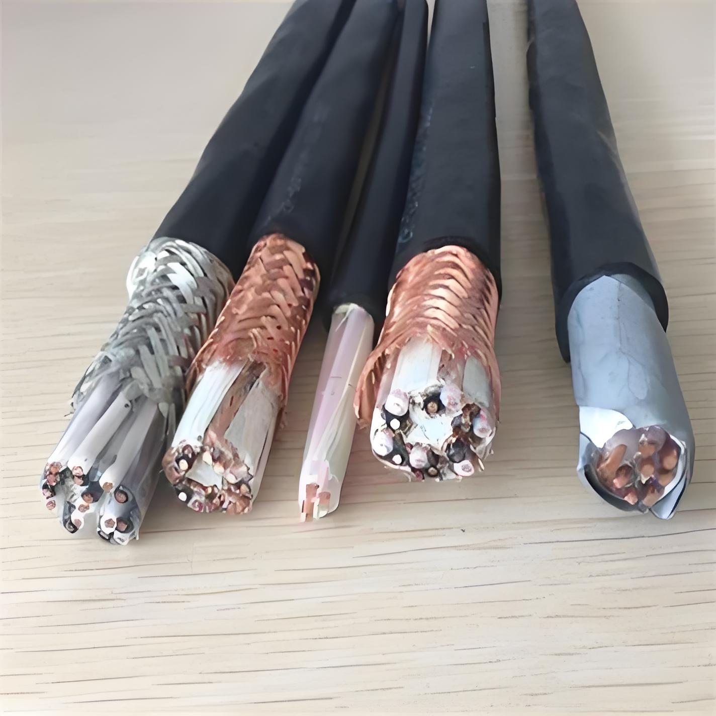 DJYPV计算机电缆1