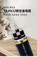 YJLHV22铝合金电缆2