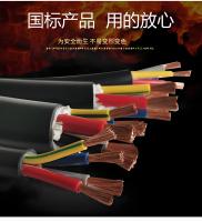 RVV控制电缆2
