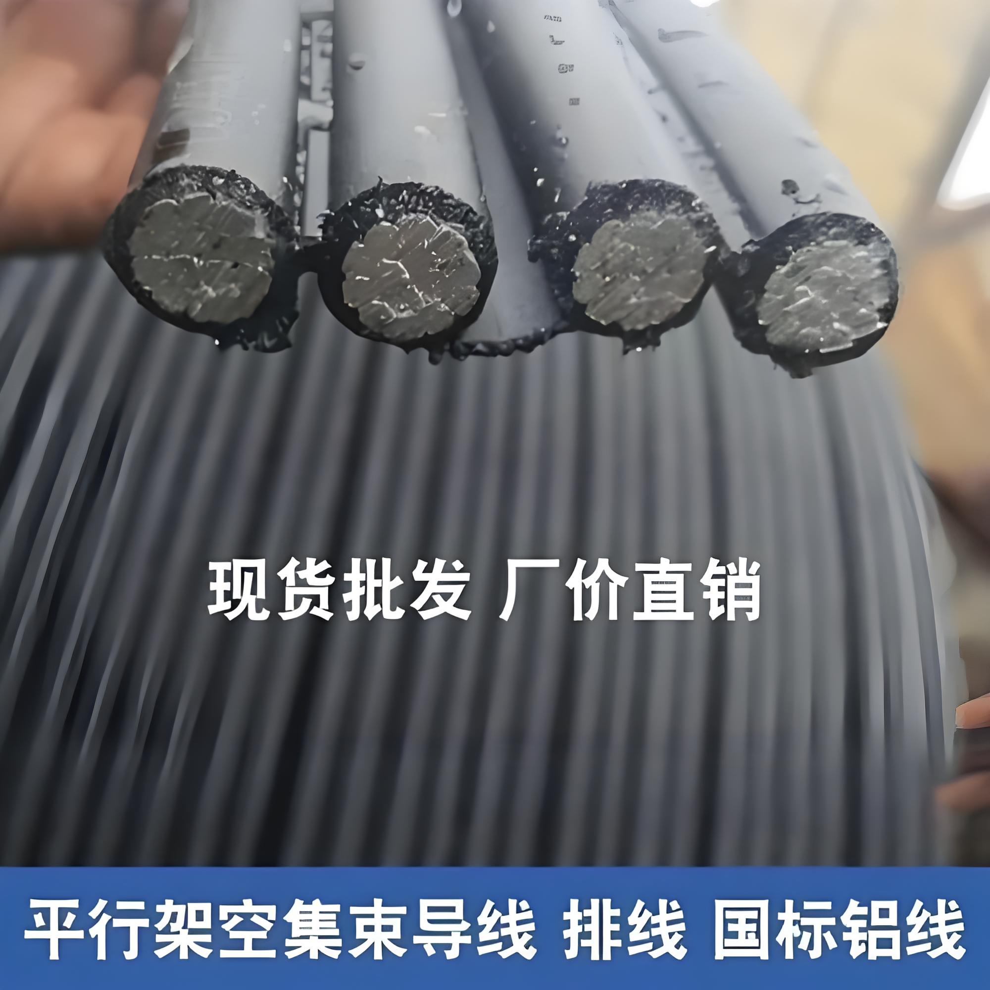 JKLVS集束导线3