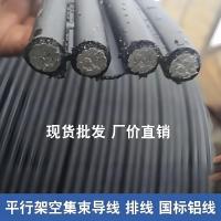 JKLVS集束导线3