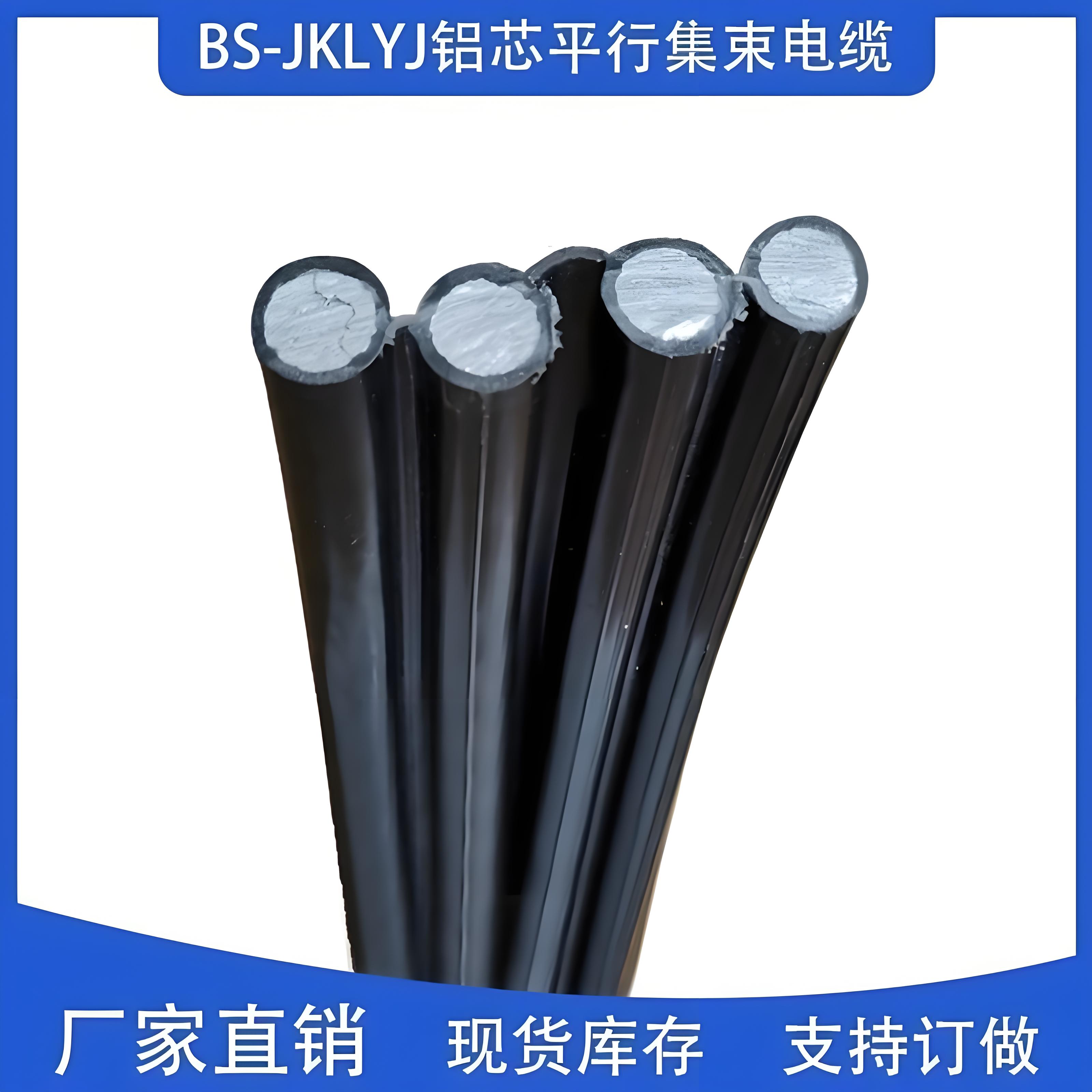 BS-JKLYJ集束导线2