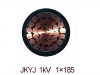 JKYJ电缆图片1