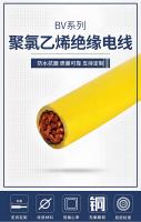 BV电线图片1