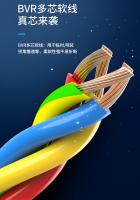 ZC-BVR电线图片1