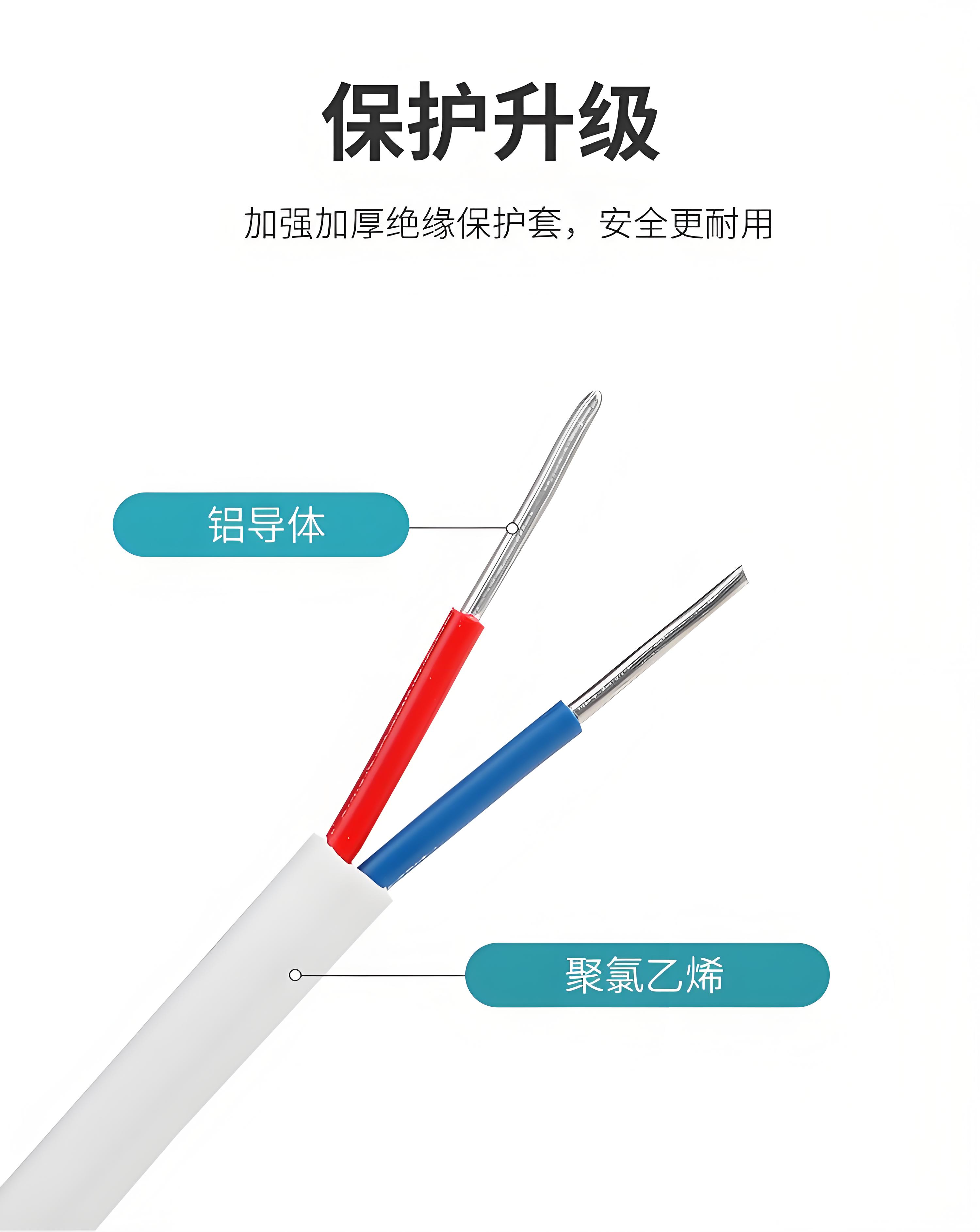 BLVVB电线3