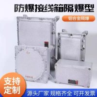 厂家防爆配电箱配电柜安全检修箱户外照明箱接线箱控制非标定制