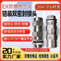 厂家铠装防爆接头防爆格兰头防爆箱体专用穿线接线铠装接头批发