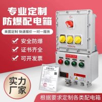 非标定制防爆配电箱户外不锈钢配电柜检修箱厂家照明箱接线箱控制