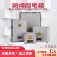 工厂定制防爆配电箱户外不锈钢配电柜检修箱厂家照明箱接线箱控制
