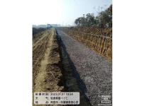 案例展示-4-