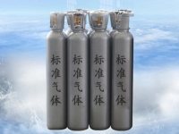 标准气体-1-